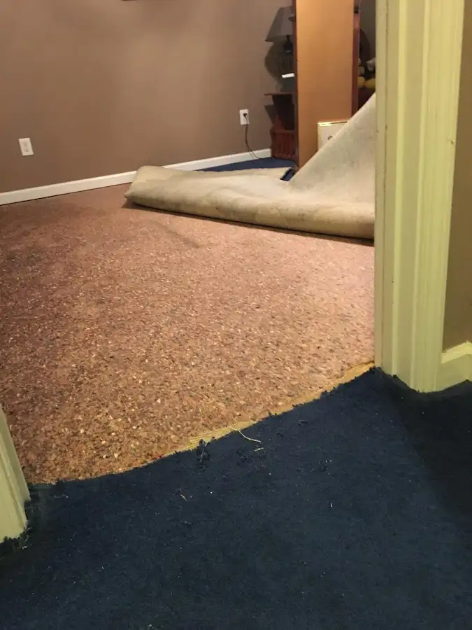 Carpet pad removal revealing water damage during Drying & Dehumidification in Roseburg