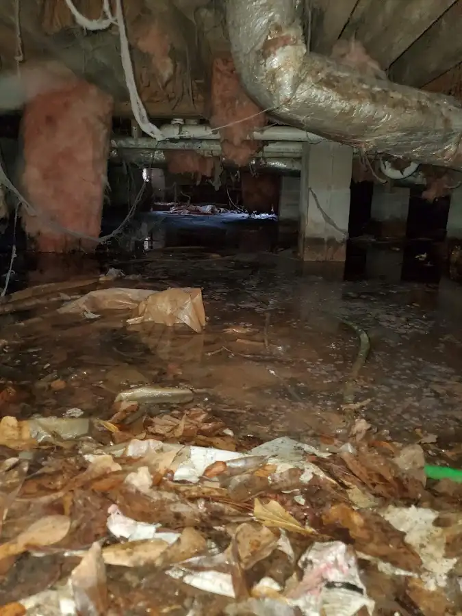 Crawl space flood assessment for Leak Detection & Repair in Roseburg