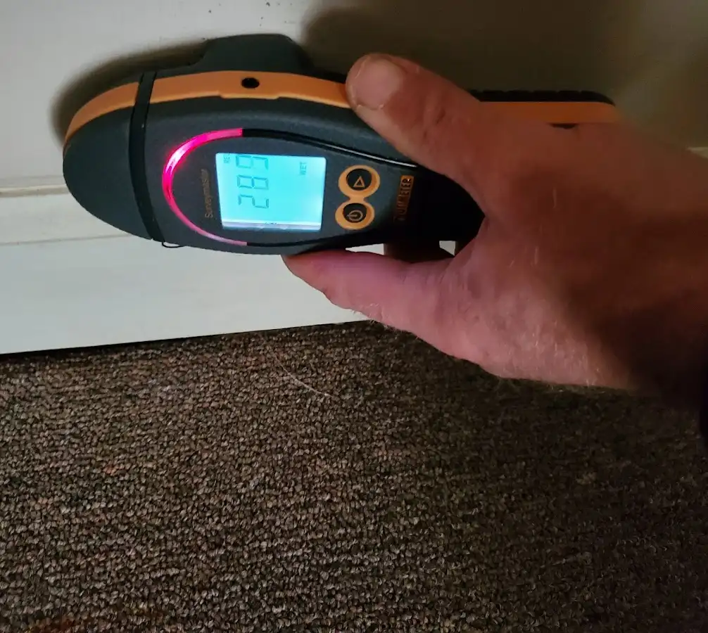 Moisture detection at baseboard during Mold Inspection & Testing in Roseburg